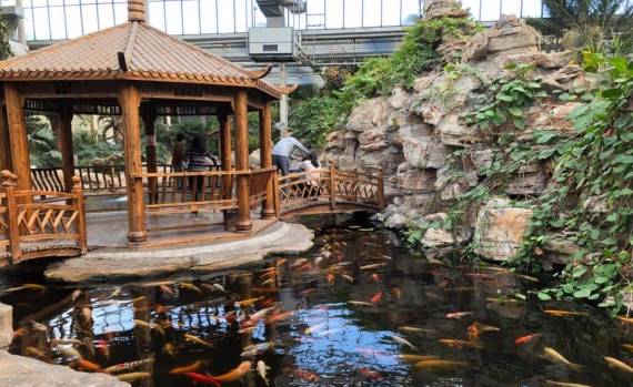 「温泉季」为你盘点天津这些约“泡”好去处！