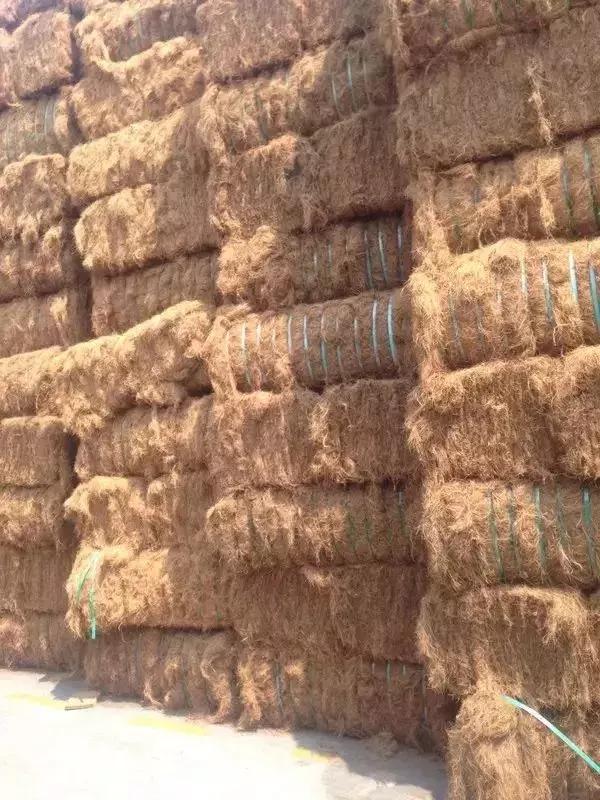 酒店公认最舒服的床垫,酒店式床垫推荐