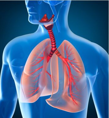 养生调理三九灸做起来,三九敷贴什么时候可以贴