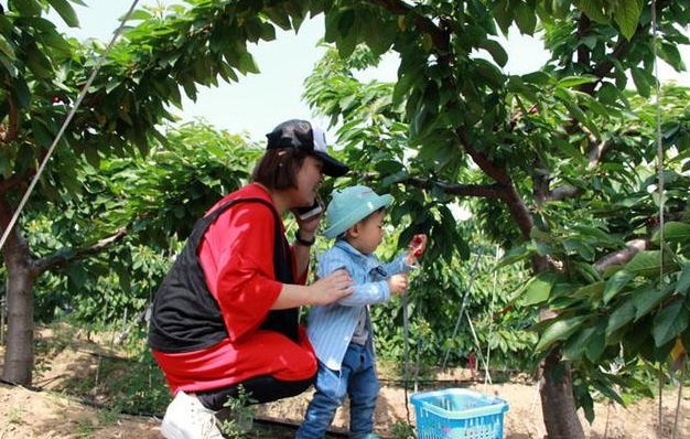 聊城姜堤乐园有什么好玩的,来聊城怎么玩儿