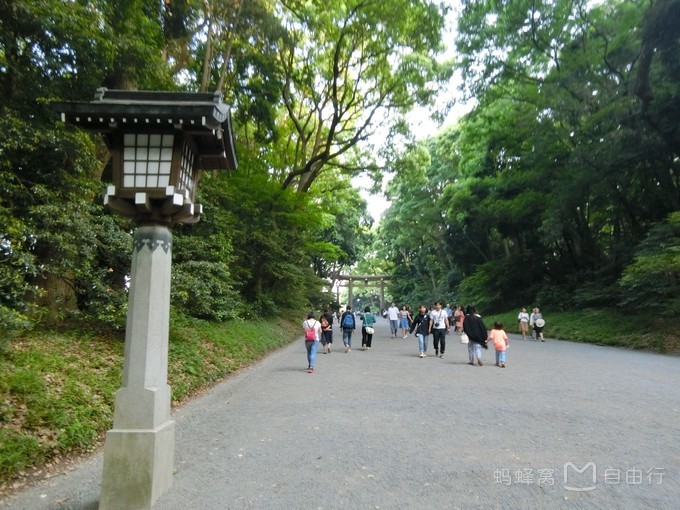 明治神宫参观,明治神宫和哪些景点一起游览好玩