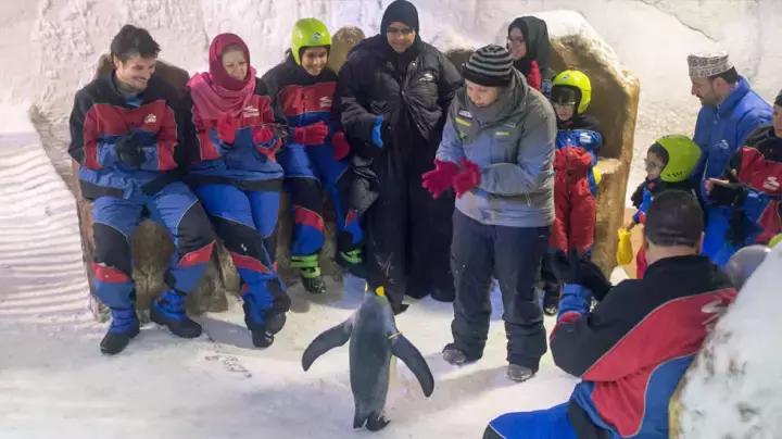 迪拜上天下海冲沙攻略,迪拜沙漠冲沙一日游