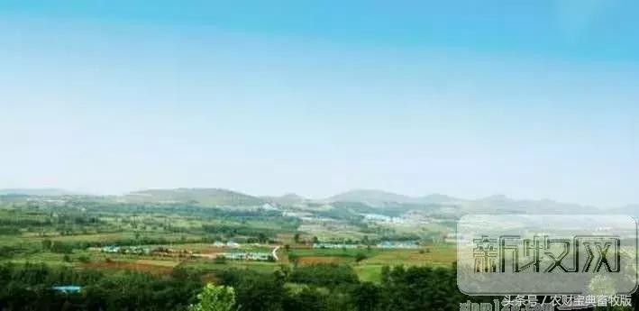 周黑鸭最巅峰的味道,周黑鸭最经典的是哪个味道