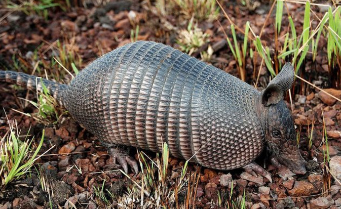 农村小伙在山上看见不明生物,农村小伙在山里看见一个古建筑