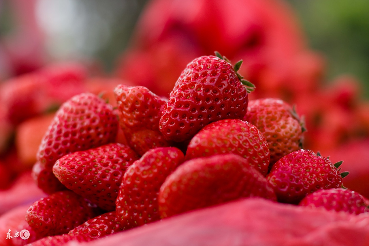 这些冷知识最好早点了解,一分钟了解10个冷知识