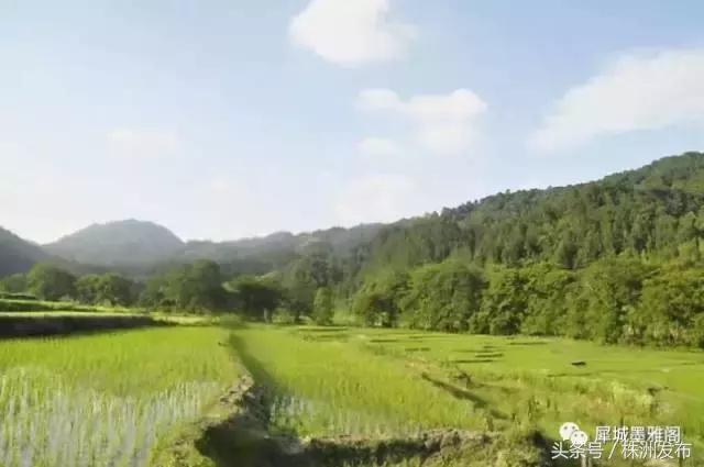 火田大英村,茶陵火田大英村