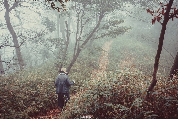 贵州绥阳旅游十大景点排名,贵州绥阳县景区有哪些
