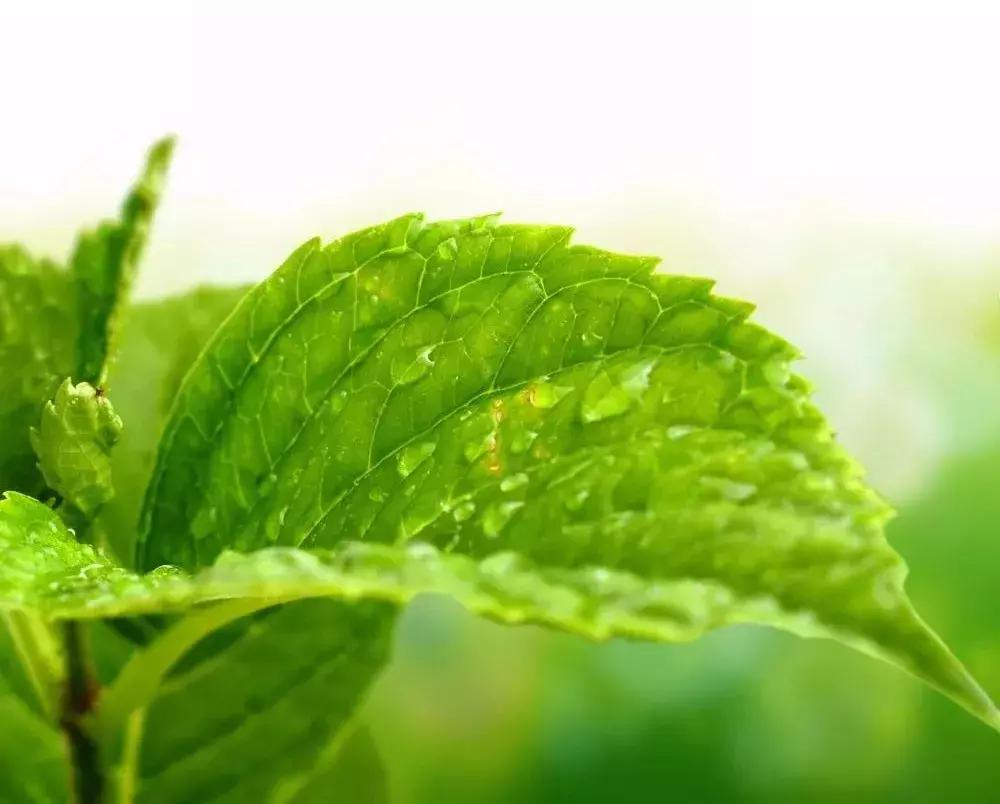 微生物多样性取样方法总结