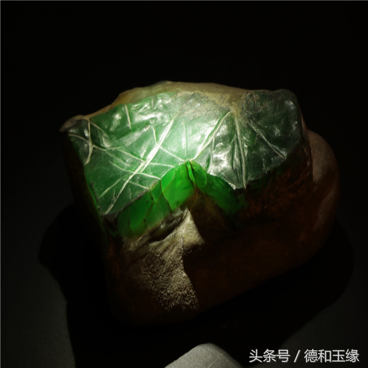 翡翠万万没想到,翡翠奇怪的表现