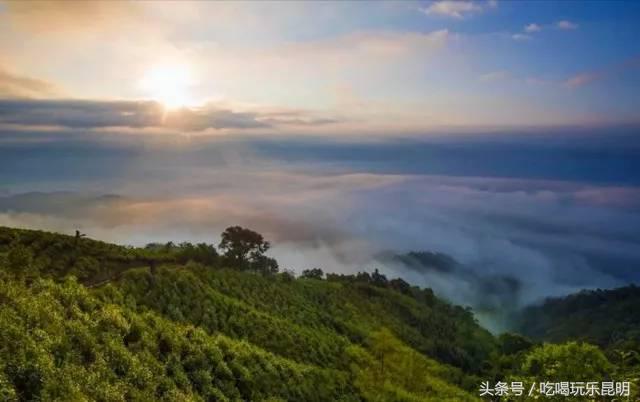 这两天德宏拽伤了,和全世界对话都是:我20度!