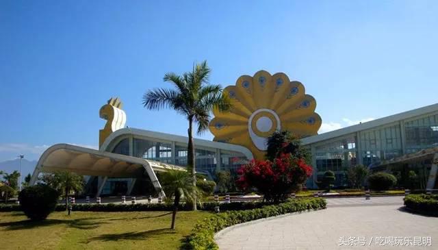 这两天德宏拽伤了,和全世界对话都是:我20度!