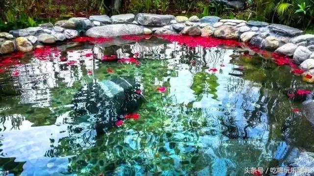 这两天德宏拽伤了,和全世界对话都是:我20度!