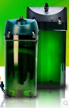 新手养草缸鱼,草缸新手入门