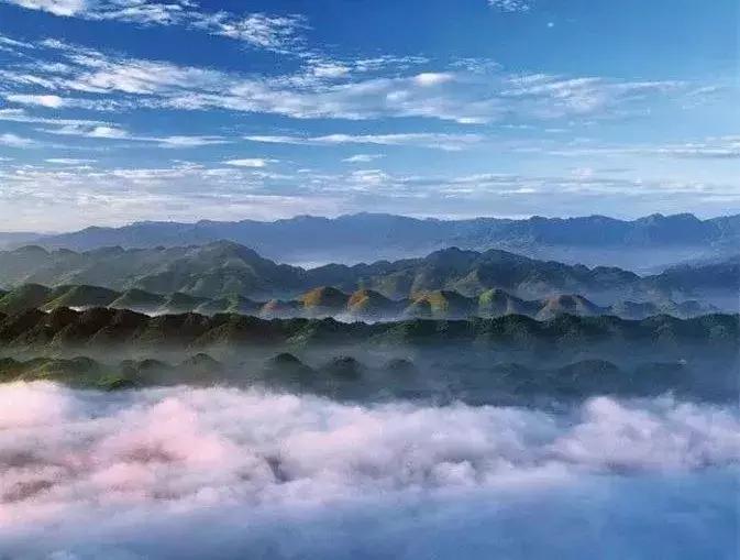 竹的海洋,竹子的海洋