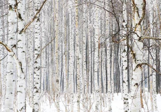 北海道自由行路线攻略,第一次去北海道去哪