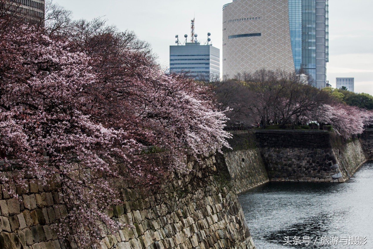 认识日本瓷器,认识日本国旗