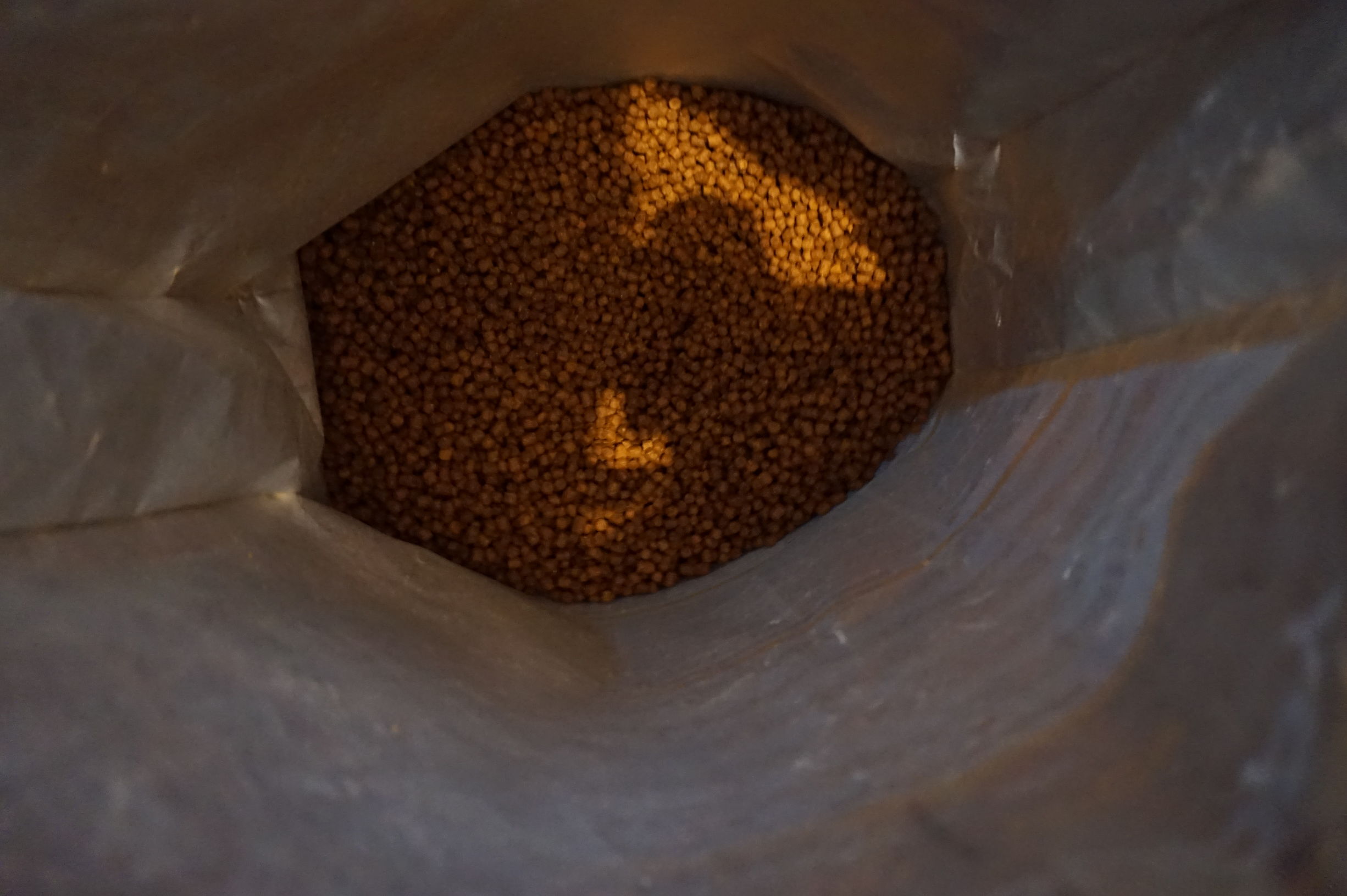 狗粮怎么选进口国产狗粮测评,进口国产狗粮测评