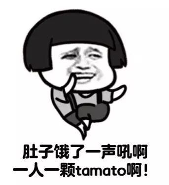 appleid点了忘了密码怎么办,appleid密码忘了怎么办10种方法