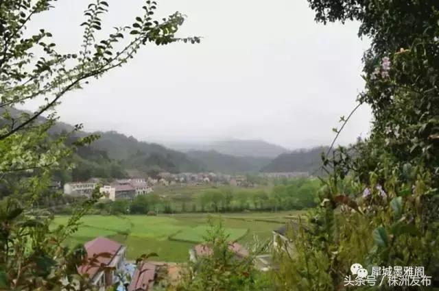 火田大英村,茶陵火田大英村