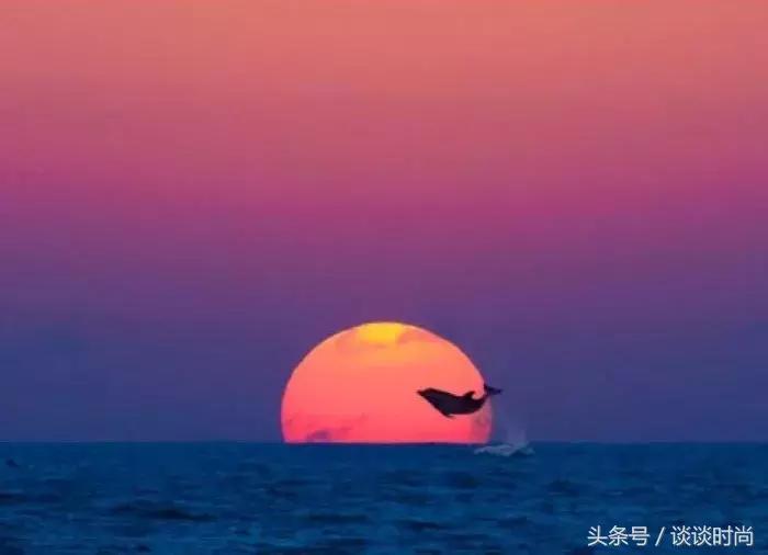 女生必入平价神仙绝美眼影盘推荐,平价神仙绝美眼影盘推荐