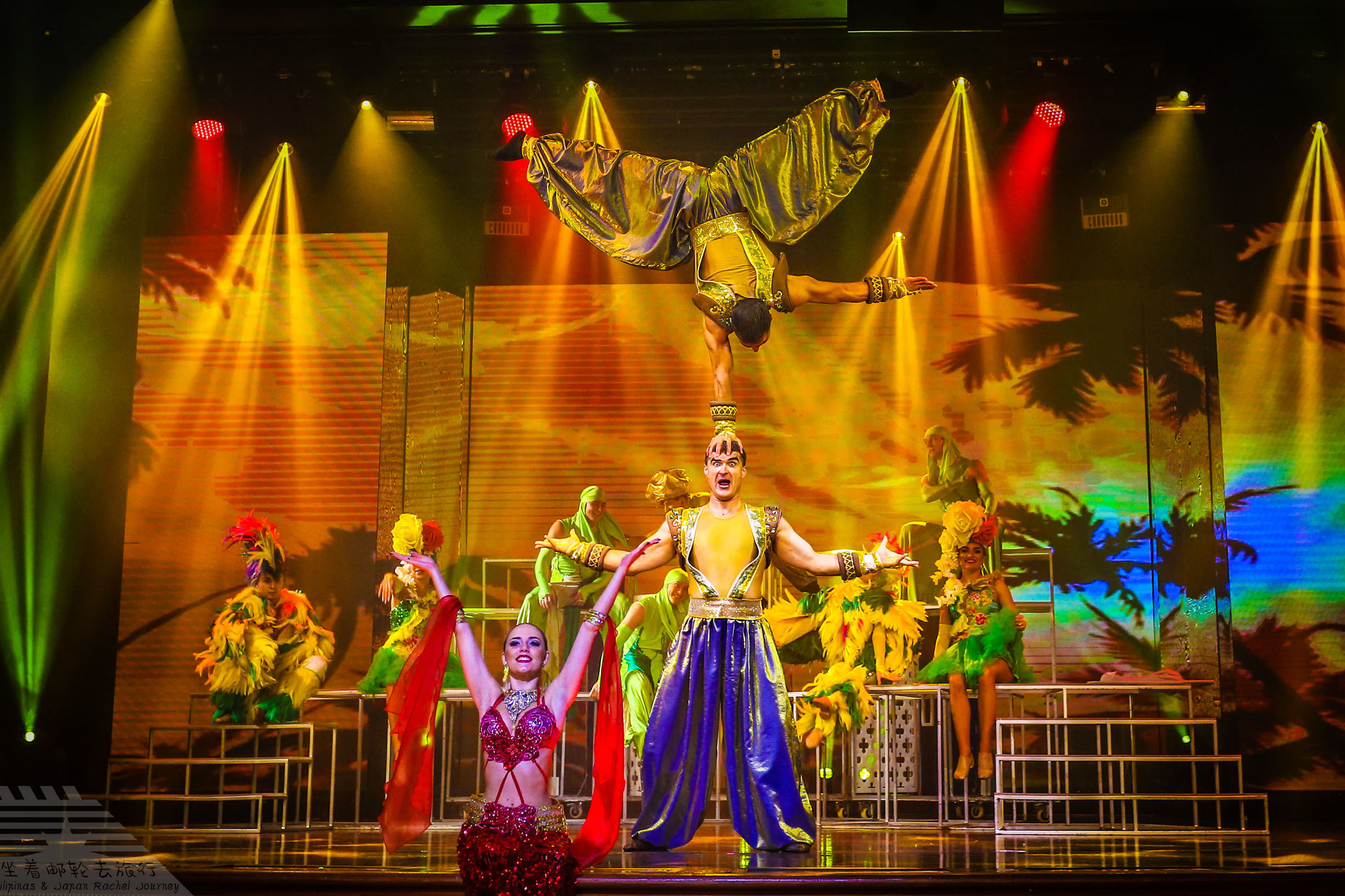 超全邮轮出行攻略图解,邮轮必买清单及价格