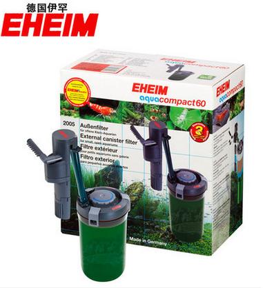 新手养草缸鱼,草缸新手入门