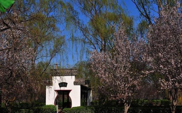 聊城姜堤乐园有什么好玩的,来聊城怎么玩儿