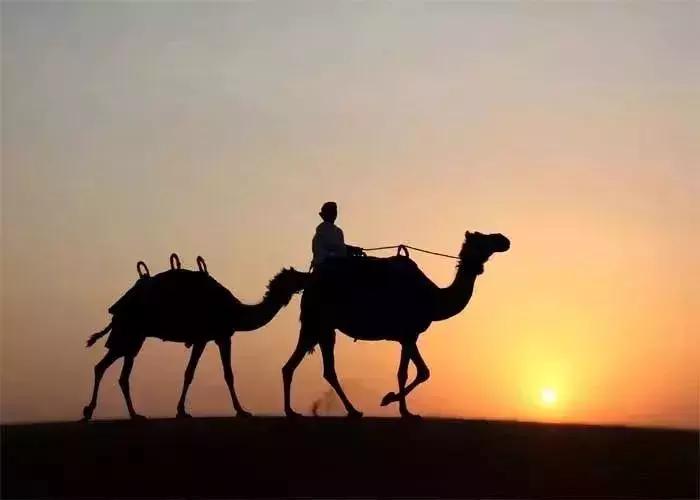 迪拜上天下海冲沙攻略,迪拜沙漠冲沙一日游