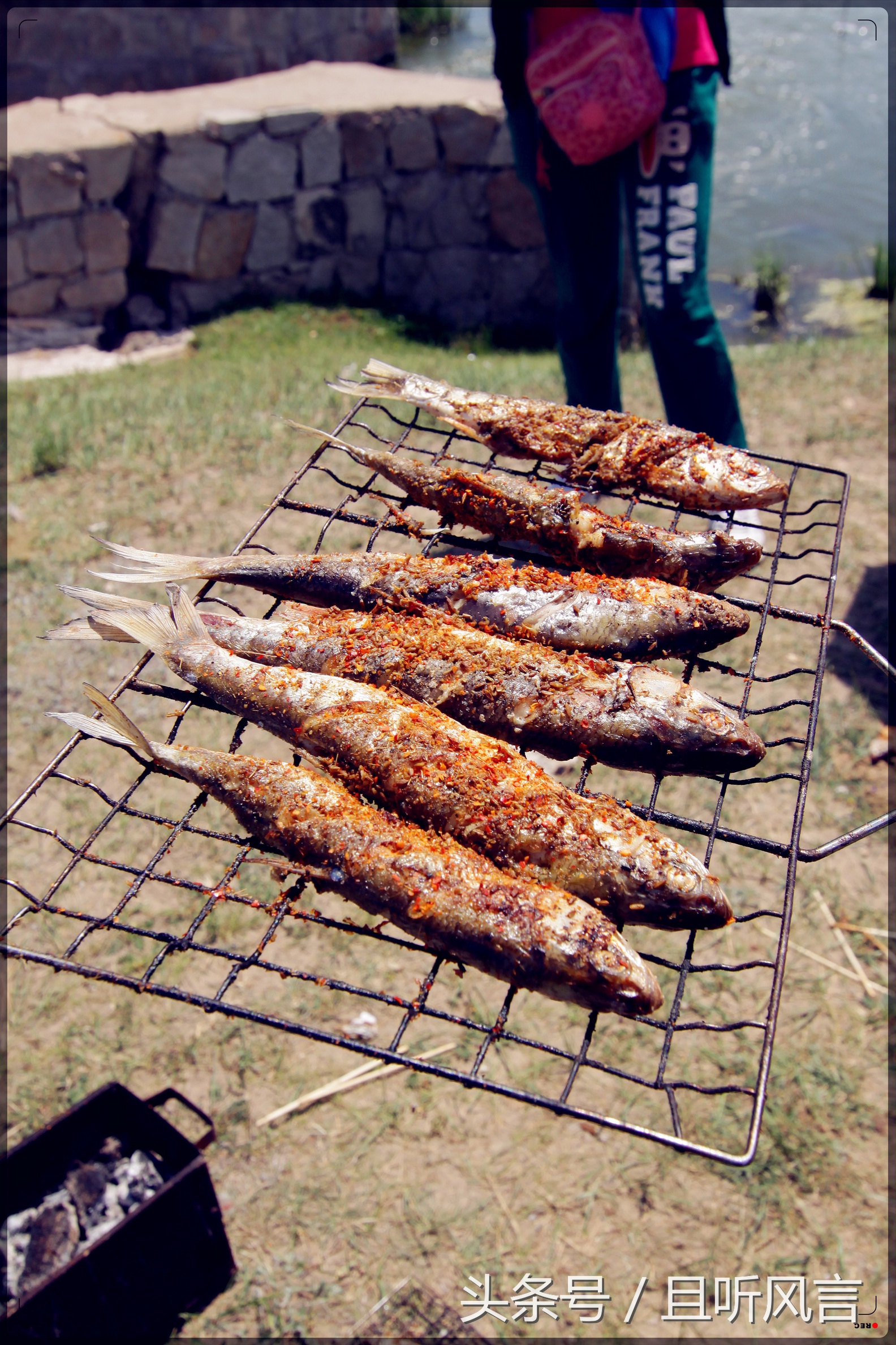 达里诺尔湖到锡林郭勒,锡林郭勒四天三晚旅游攻略自驾游