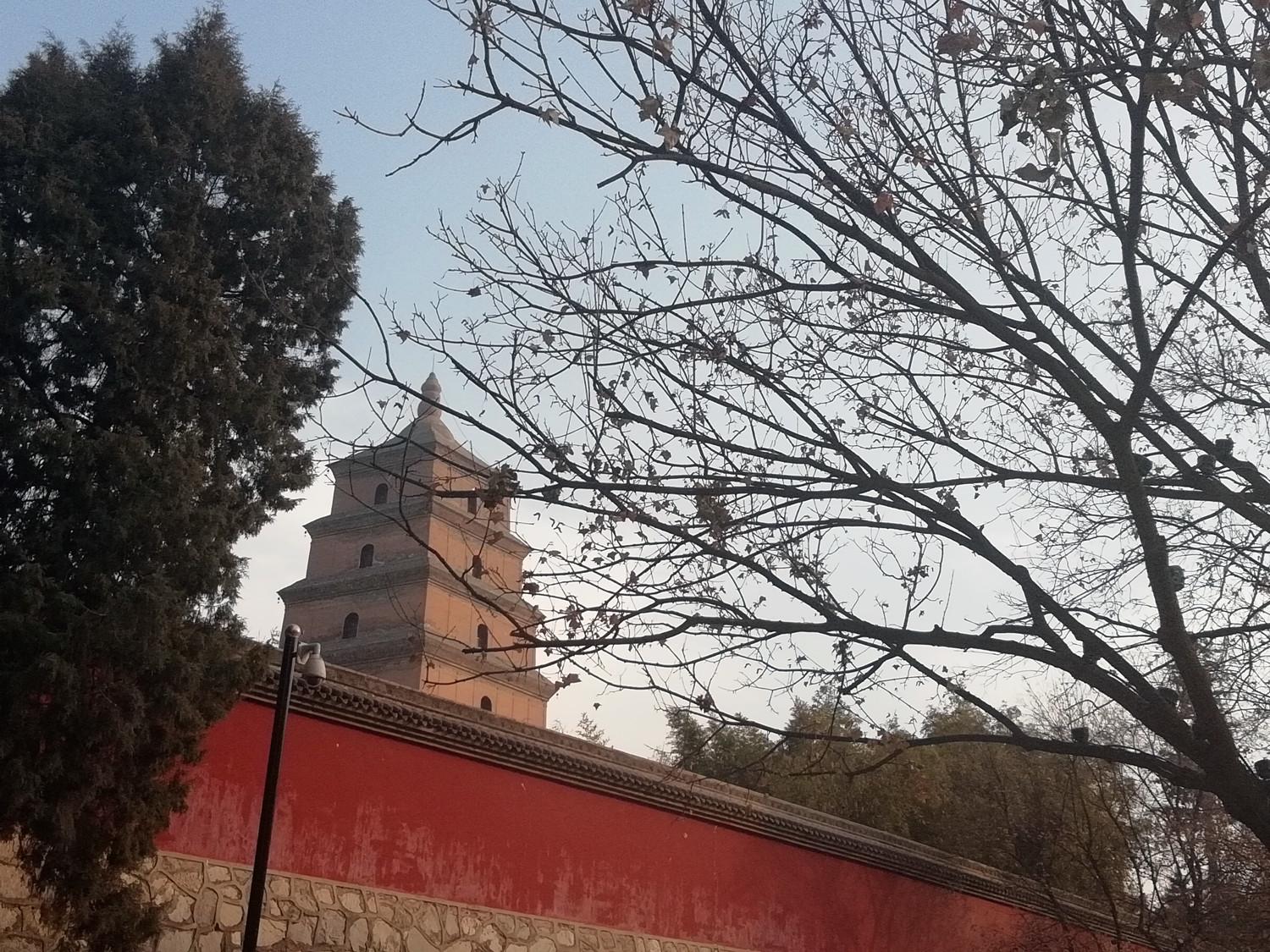 华为畅享7s最新消息9.0,华为手机畅享7s全面屏