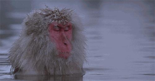 「温泉季」为你盘点天津这些约“泡”好去处！