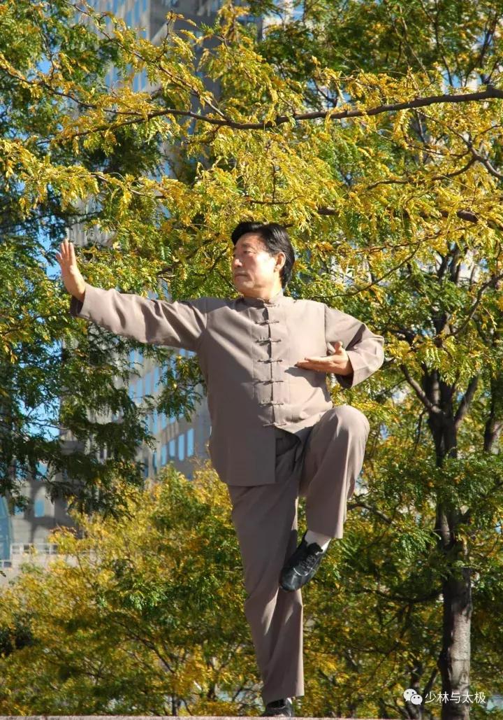 习武体悟：道近乎技，尽心而知性