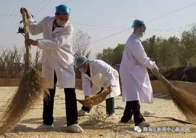 儿时的味道冬菜,年味冬菜