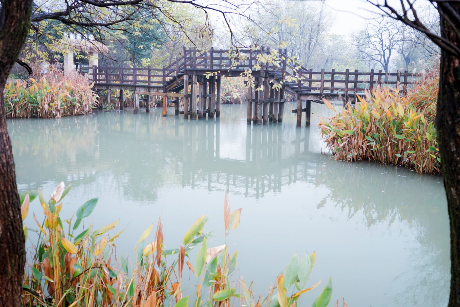 我和玛莎拉蒂的故事,我与玛莎拉蒂的故事