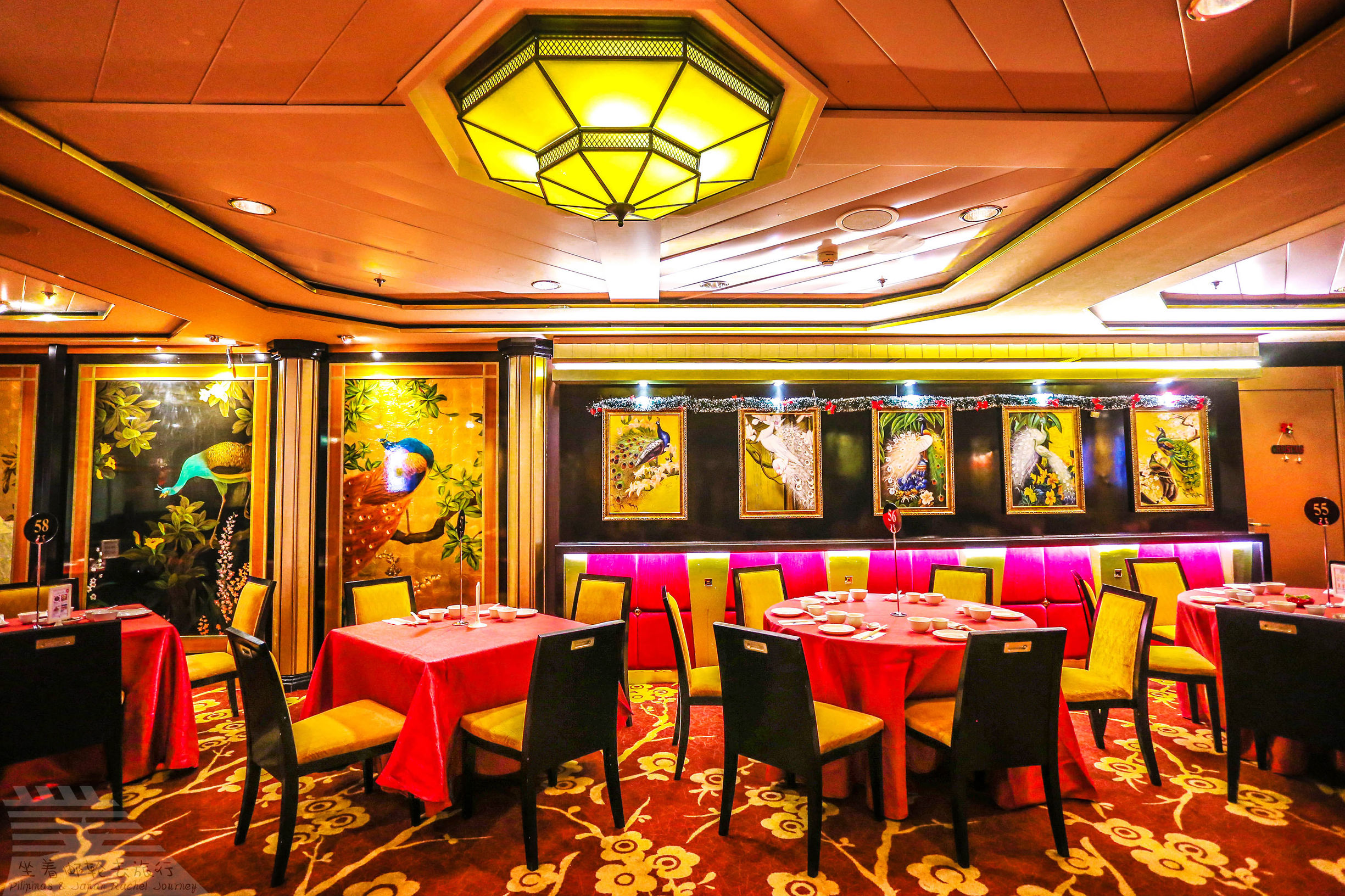 超全邮轮出行攻略图解,邮轮必买清单及价格