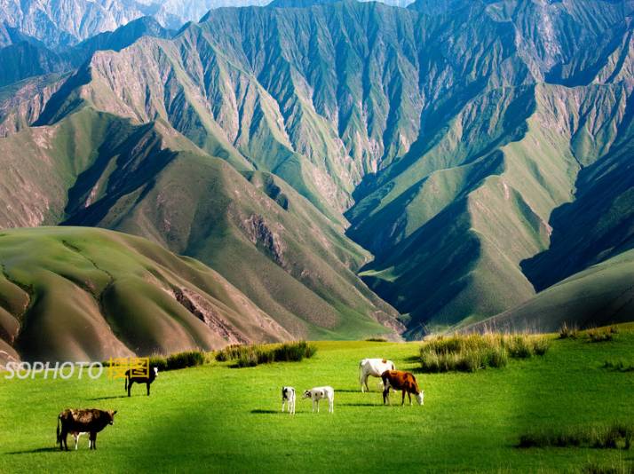 图片库摄影变现,图片库摄影师怎么赚钱