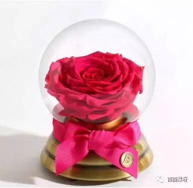 圣诞节一只口红怎么够!转给男朋友暗示一下他!口红我送你!