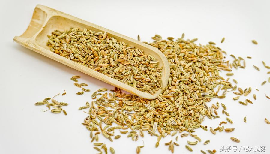 疝气病能吃中药治疗吗,小肠疝气最好的食疗方法