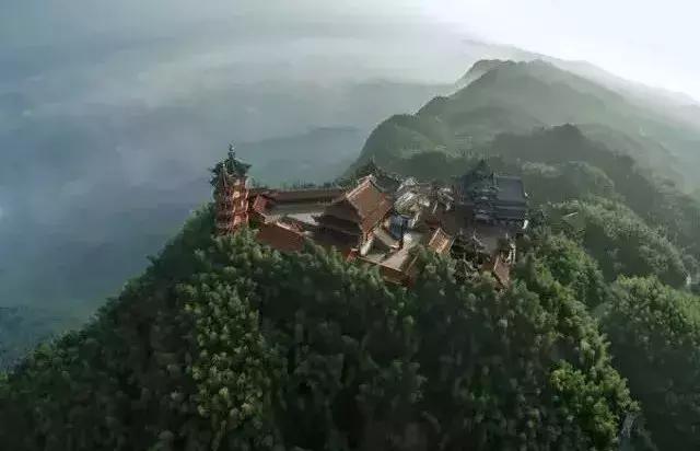 竹的海洋,竹子的海洋