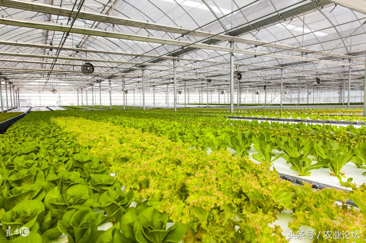 生态农业种植前景,生态农业可持续发展的措施