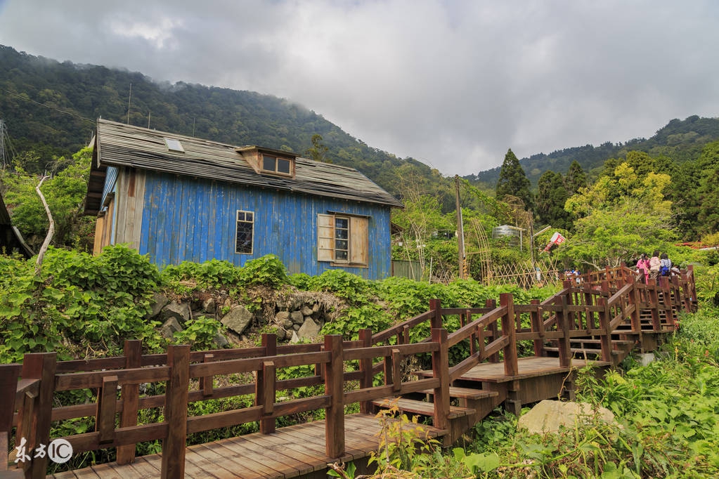 阿里山高山茶的冲泡茶具,高山茶讲解