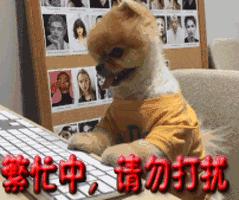 「点赞免费吃鸡」售罄啦~收银员心慌了！老板“不要停，继续发”