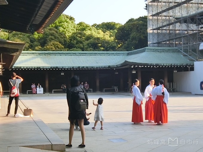 明治神宫参观,明治神宫和哪些景点一起游览好玩