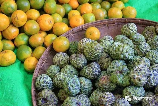 缅甸水果,缅甸边境水果