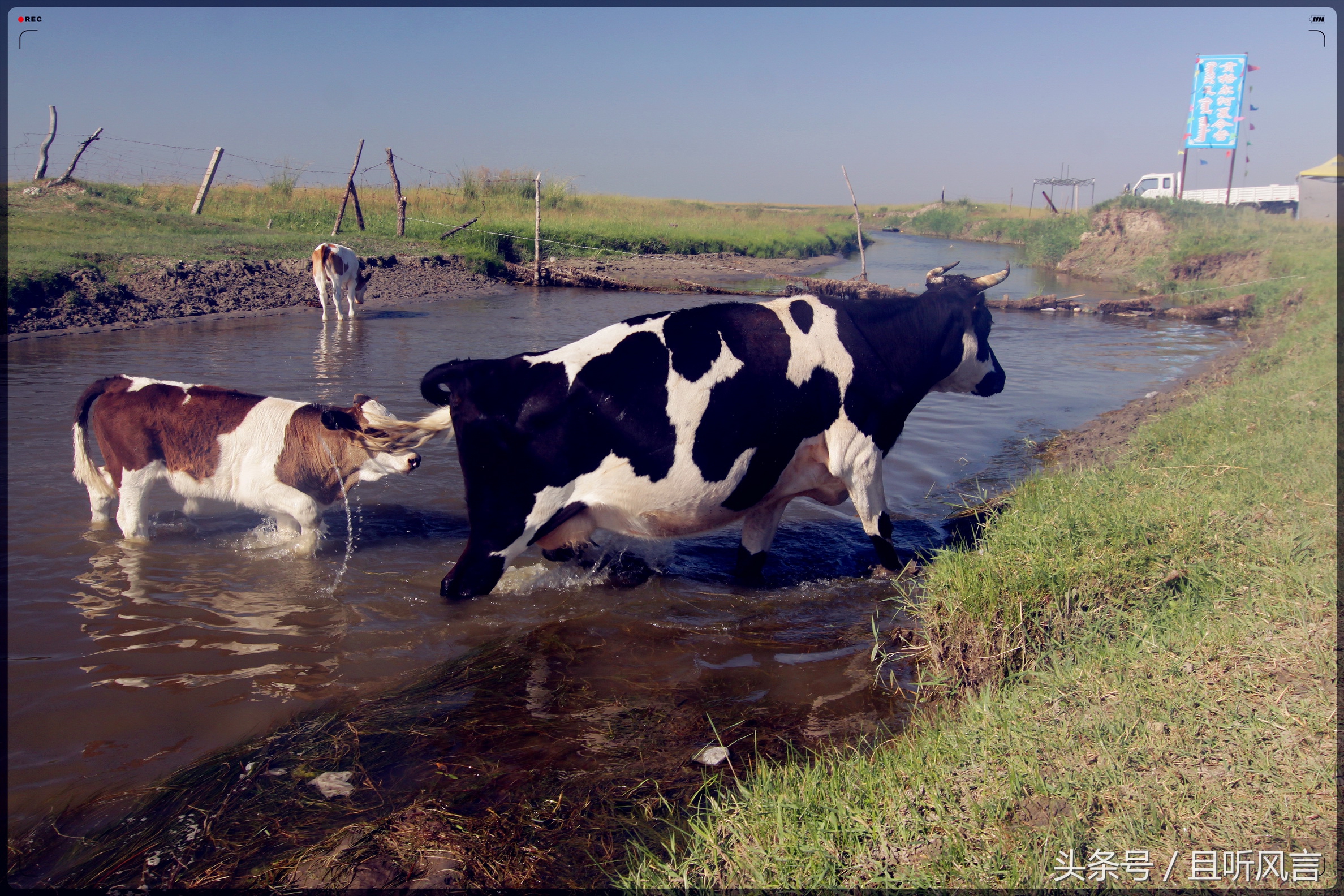 达里诺尔湖到锡林郭勒,锡林郭勒四天三晚旅游攻略自驾游
