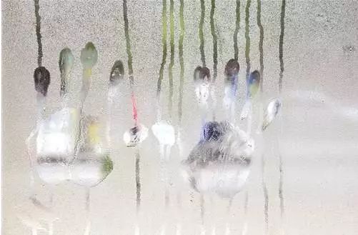 生活中的江阳人,泸州生活是一种什么体验