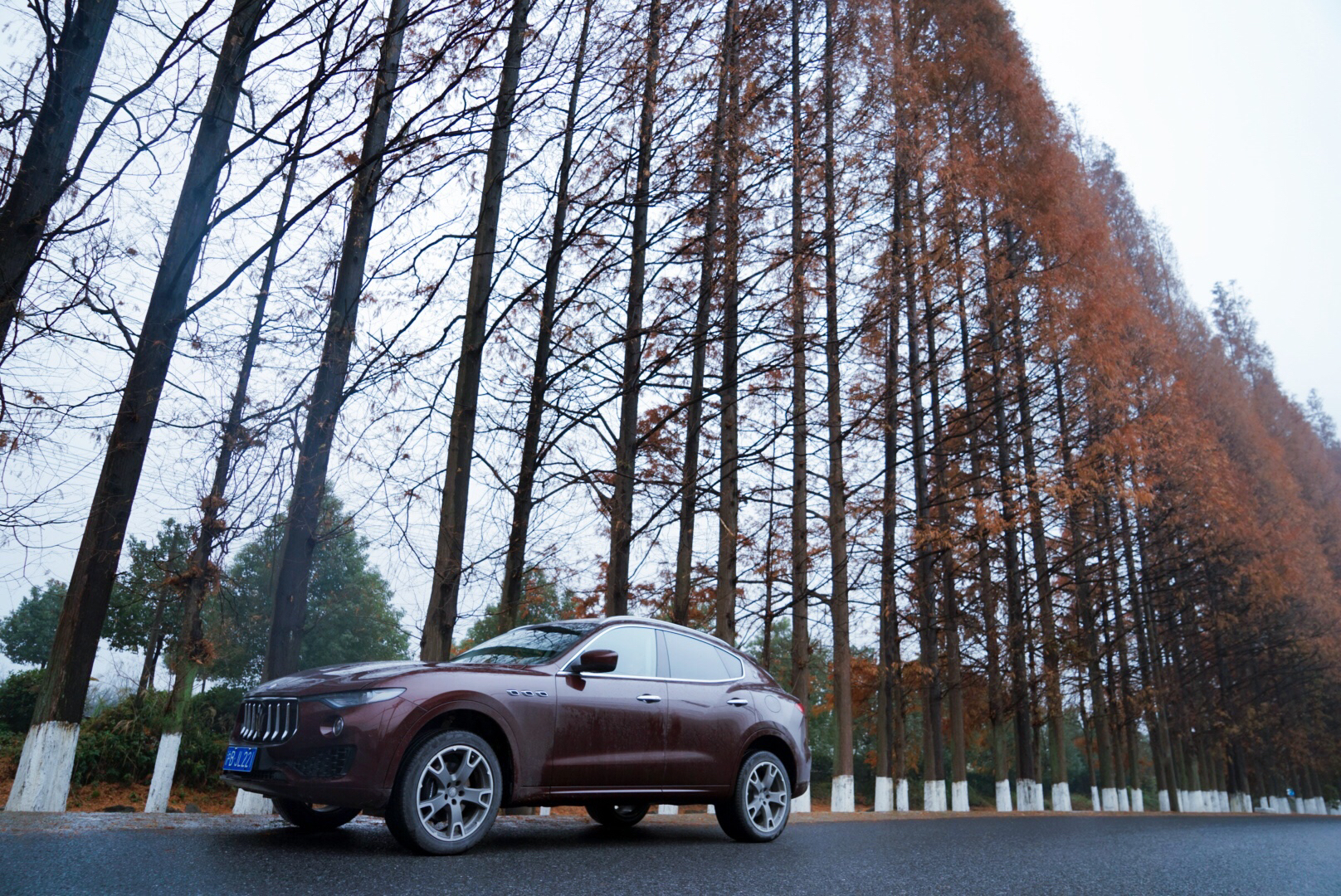 我和玛莎拉蒂的故事,我与玛莎拉蒂的故事