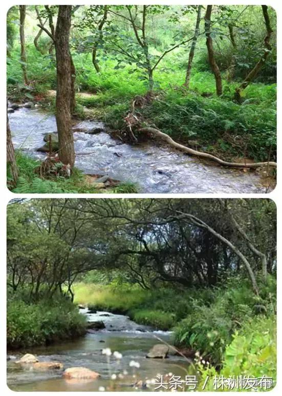 火田大英村,茶陵火田大英村