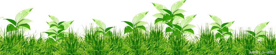 经典咏流传七子之歌,七子之歌怀旧