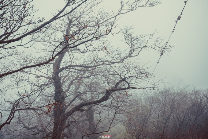 贵州绥阳旅游十大景点排名,贵州绥阳县景区有哪些